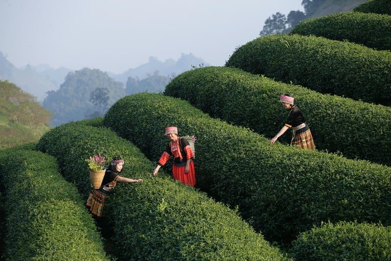 Adrenaline-Fueled Experiences